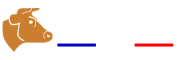 FT diffusion19